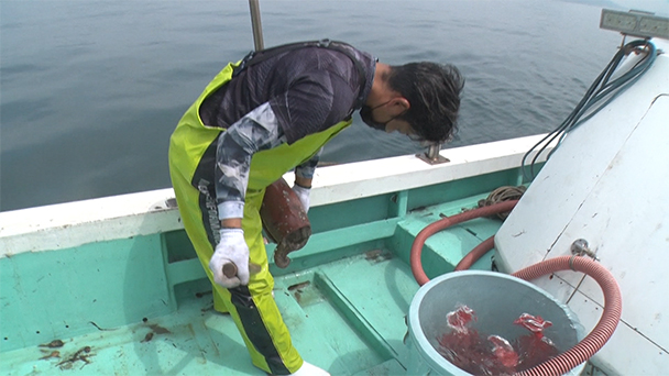魚が食べたい！－地魚さがして3000港－