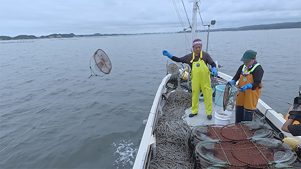 魚が食べたい！＃２４３　宮城県・磯崎漁港 <br>（アナゴ・ガザミ）