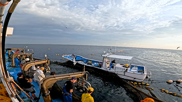 魚が食べたい！＃２４４　福井県高浜漁港<br>（ウスバハギ、若狭グジ）