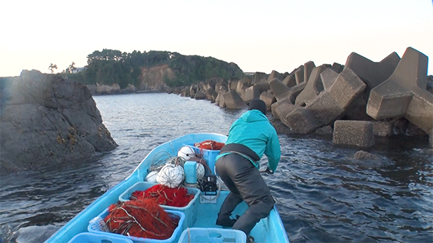 魚が食べたい！＃２５６　三重県安乗漁港<br>（イセエビ、ヒラメ）