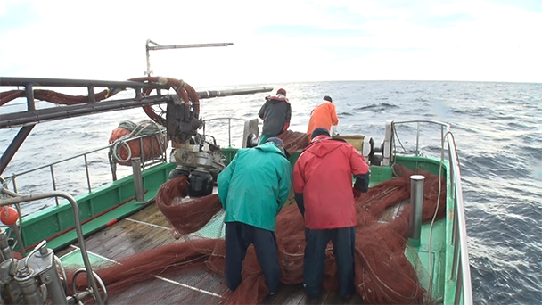 魚が食べたい！＃２５７　秋田県岩館漁港<br>（マダイ、ハタハタ）