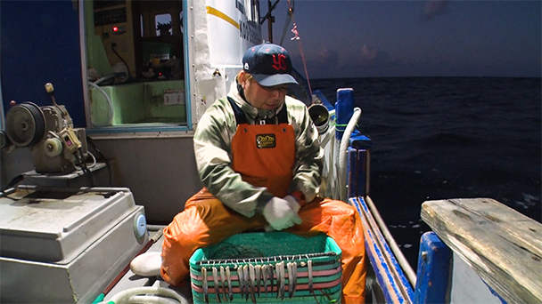 魚が食べたい！＃２５９　高知県清水漁港<br>（サバ、クエ）