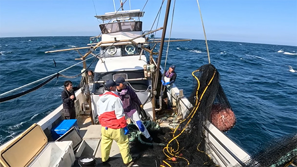魚が食べたい！＃２７０　鹿児島県野間池漁港<br>（薩摩甘エビ、キビナゴ）