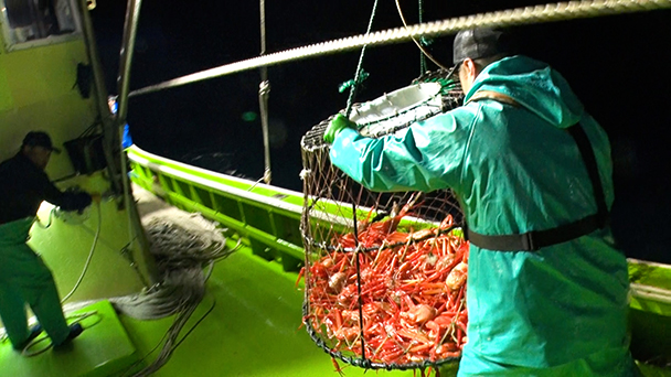 魚が食べたい！＃２７１　新潟県能生漁港<br>（ベニズワイガニ）