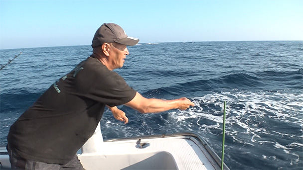 魚が食べたい！－地魚さがして3000港－