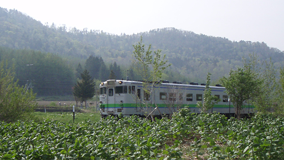 札幌 から 根室 車