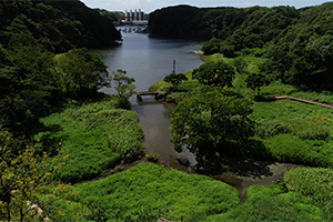 豊かに命育む 小網代の森 神奈川県 三浦市 みらい遺産 Human Lands Bs朝日