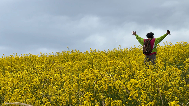 バナナマン日村が歩く！ ウォーキングのひむ太郎