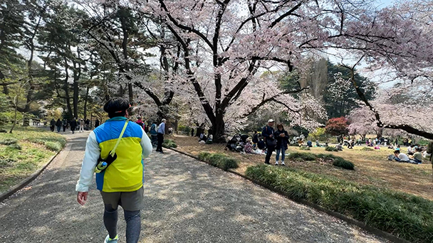 「渋谷川① 新宿御苑〜渋谷」編