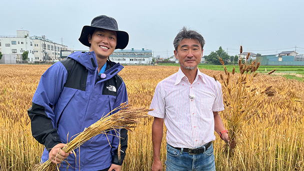 幾多のピンチをチャンスに変えて！逆境から生まれた 大いなる麦畑