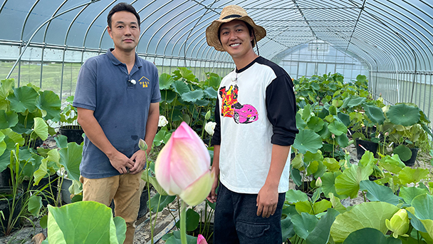 ハスの花と香りで地域に彩りを！新聞記者から転身したハスの花農家