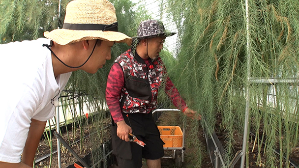 困難もスクラムを組んで乗り越える！元ラガーマンの農業トライ物語