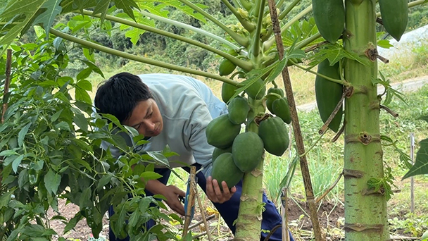 工藤阿須加が行く 農業始めちゃいました