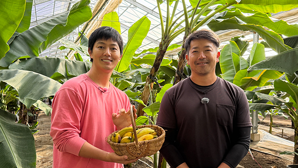 会社の辞令で転身　珍しい４種を育てるバナナ農家