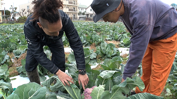 耕作放棄地を開墾し、農地を拡大　東京No.1を目指すネギ農家
