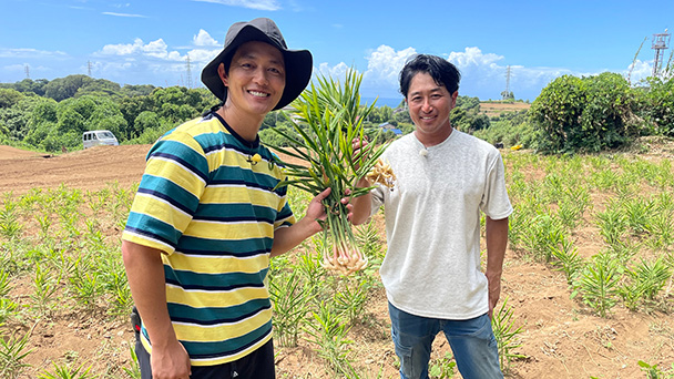 よこすか野菜を全国区に！地元農業の発展に尽力するレインボー野菜農家
