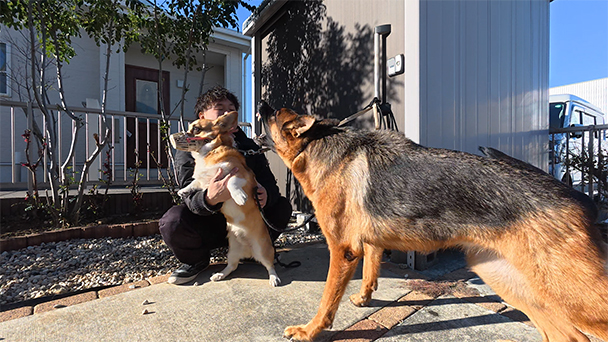 ネコいぬワイドショー #165ゲスト：杉浦太陽 | ネコいぬワイドショー