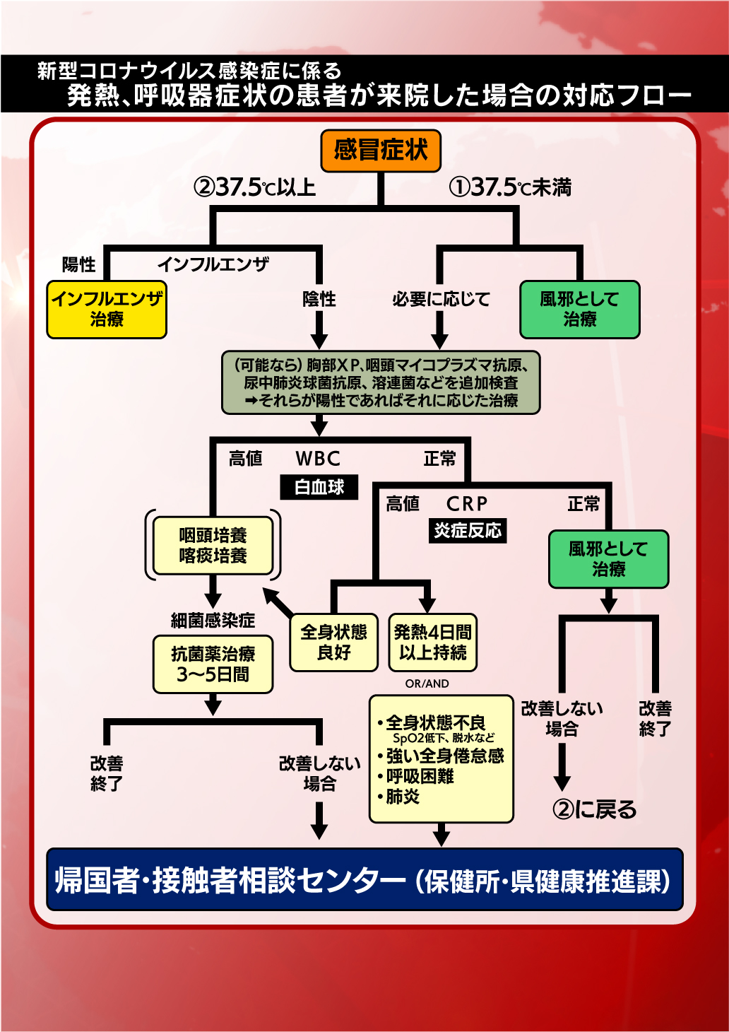 コロナ 白血球