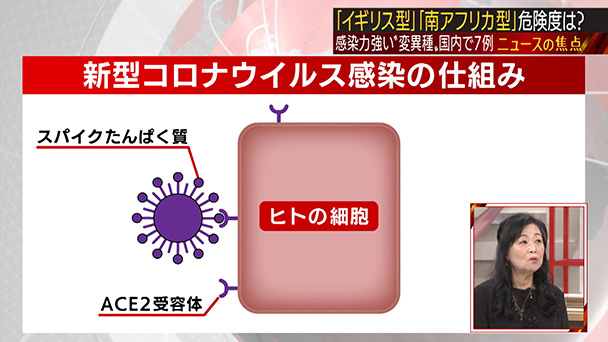 イギリス 変異 株