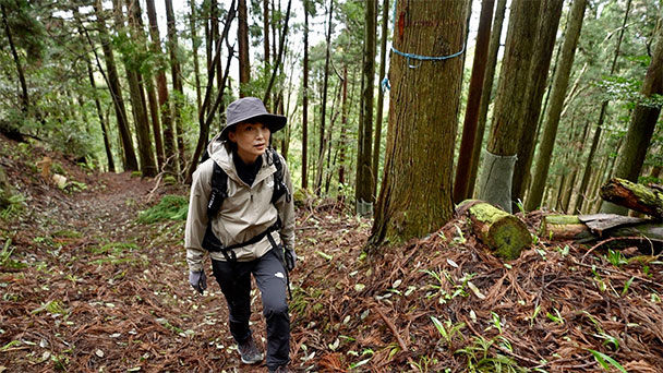 そこに山があるから