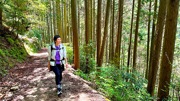 そこに山があるから