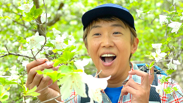 そこに山があるから