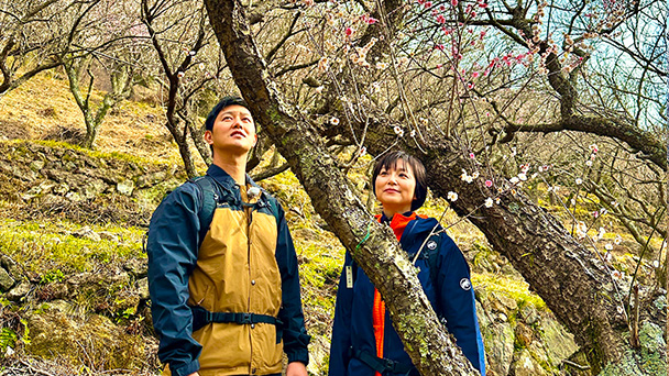 そこに山があるから