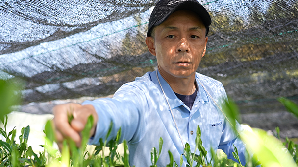 茶師 中島毅