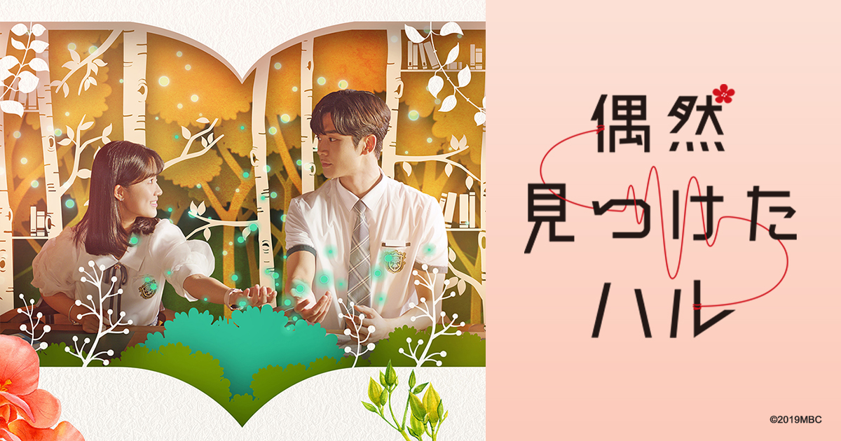 韓国ドラマ「偶然見つけたハル」 | BS朝日
