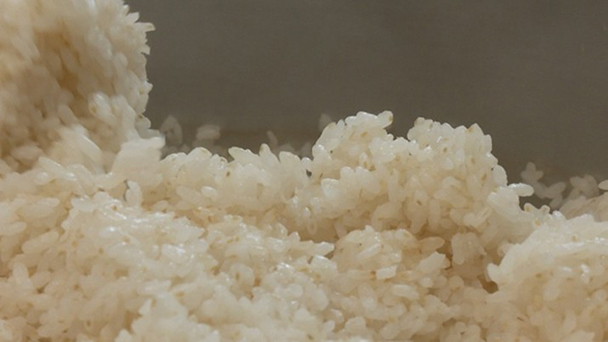 山本製作所 前篇