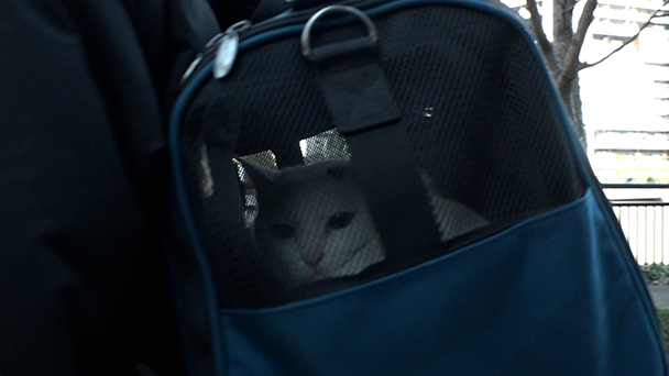 ファーレイ株式会社 前篇