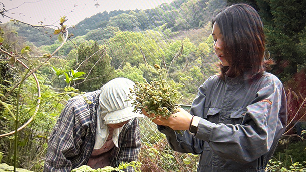 Nurse and Craft株式会社 前篇