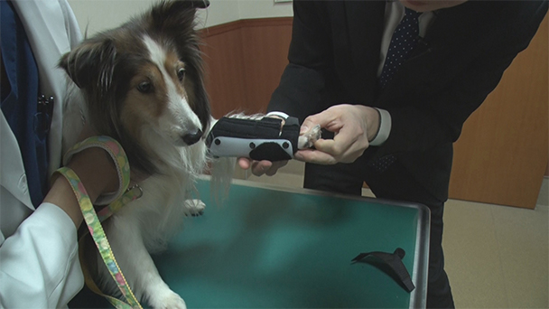 島田旭緒 動物専門の義肢装具士 アーシストcafe 緑のコトノハ Bs朝日