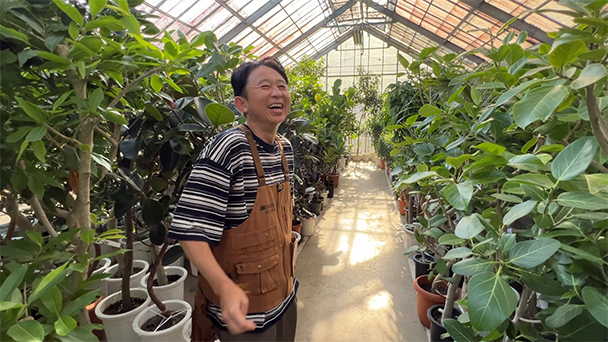 有吉さん卸売場で植物爆買い