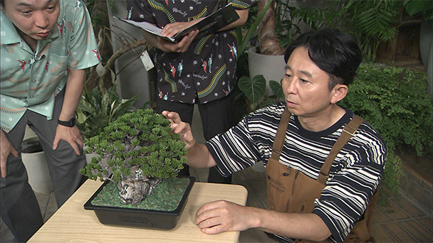 話題の園芸グッズ第2弾＆サンセベリアの株分け