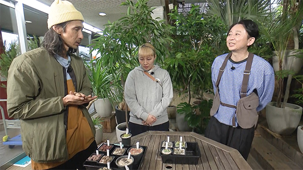 今年こそ流行って欲しい！リトープスってどんな植物!?