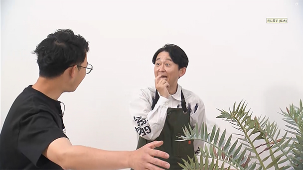 塊根植物の魅力に沼る