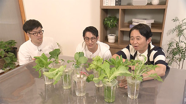 誰でも簡単！水耕栽培＆群馬県の体験型植物園を散策