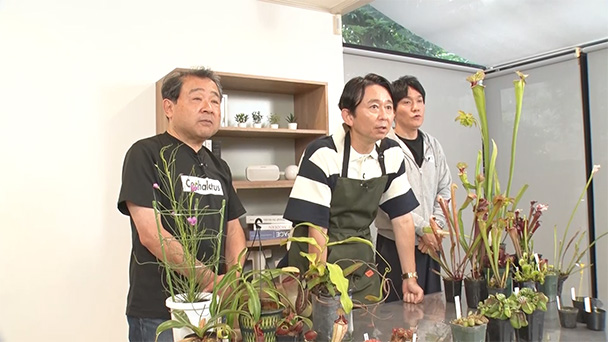 驚きの生態！世界の食虫植物