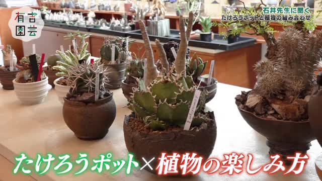 有吉弘行、我が家・坪倉、納言・安部が陶芸で植木鉢作りに挑戦！個性