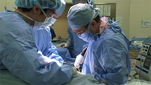 命を救う スゴ腕ドクター5 肺がん すい臓がん 白内障 命を救う スゴ腕ドクター Bs朝日